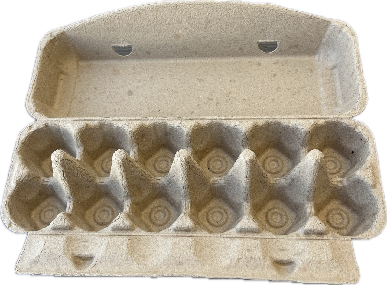 12 egg large front face carton
