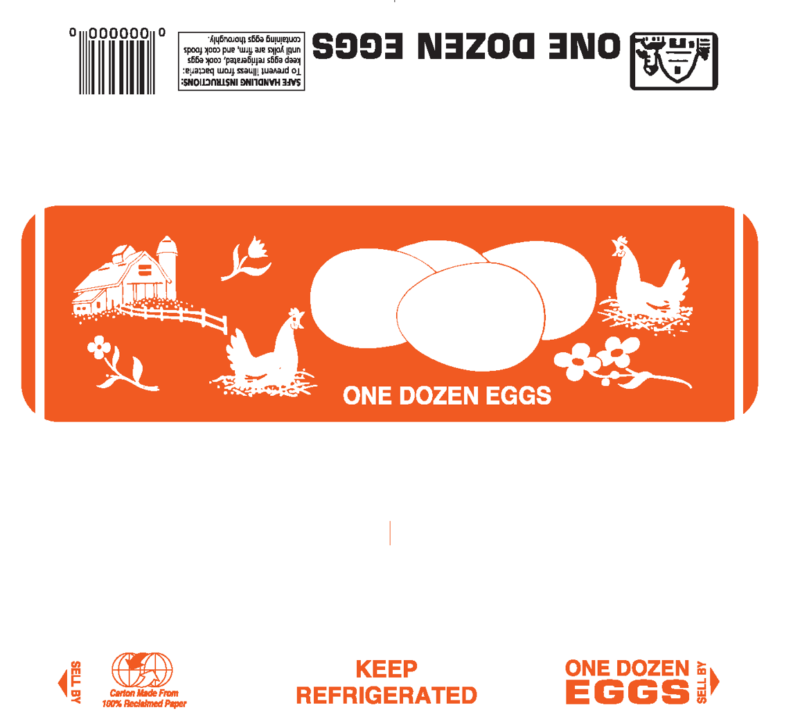 12 egg carton flat top printed